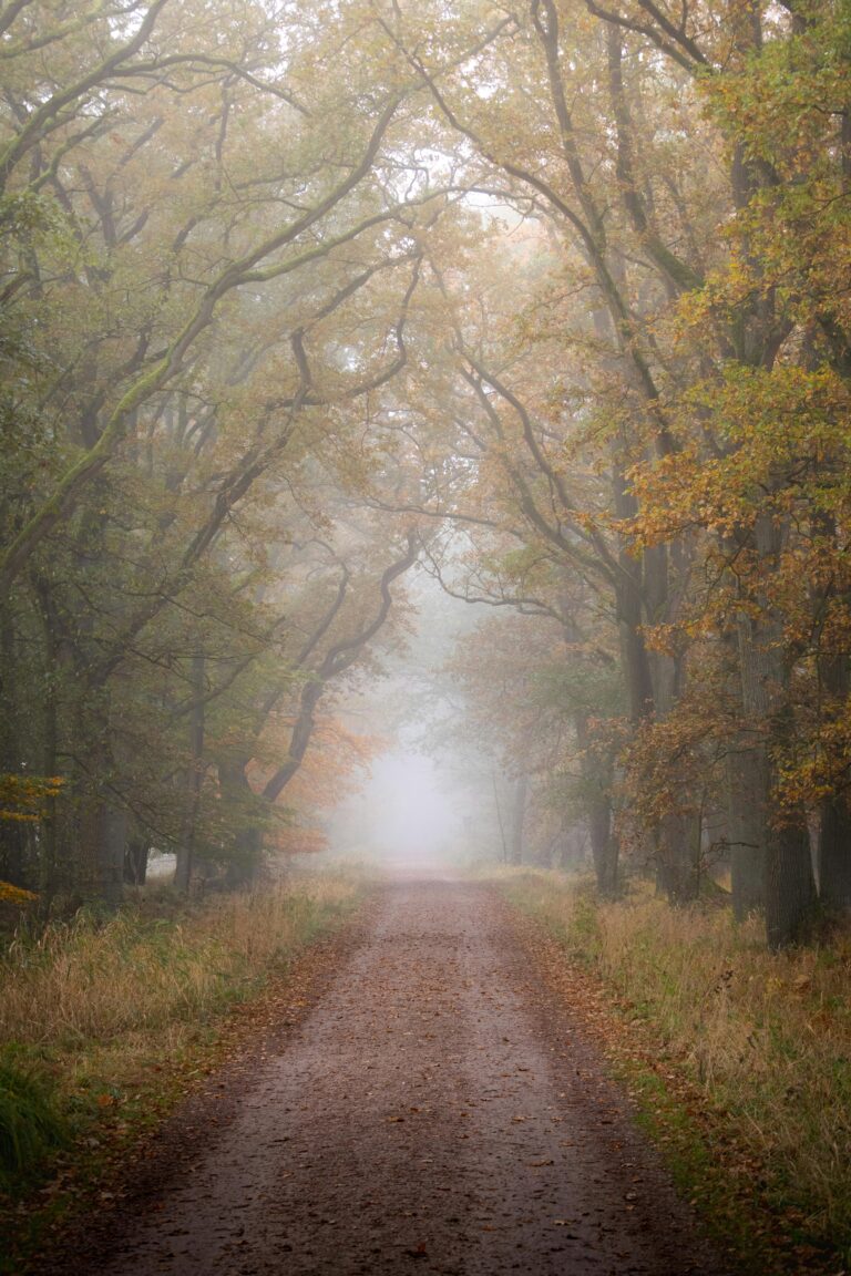 Hamburg Walddörfer Bikepacking Route