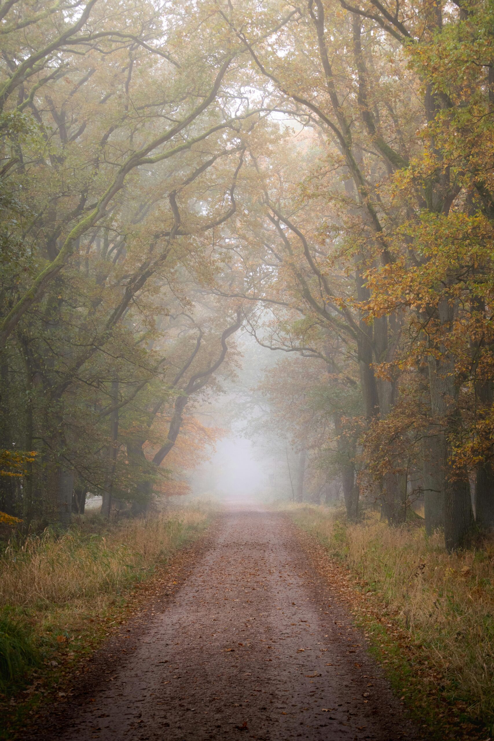 Hamburg Walddörfer bIkepacking Route